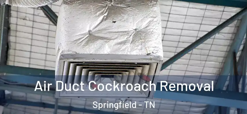  Air Duct Cockroach Removal Springfield - TN