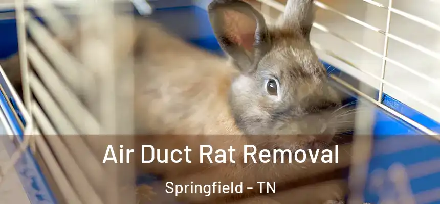  Air Duct Rat Removal Springfield - TN