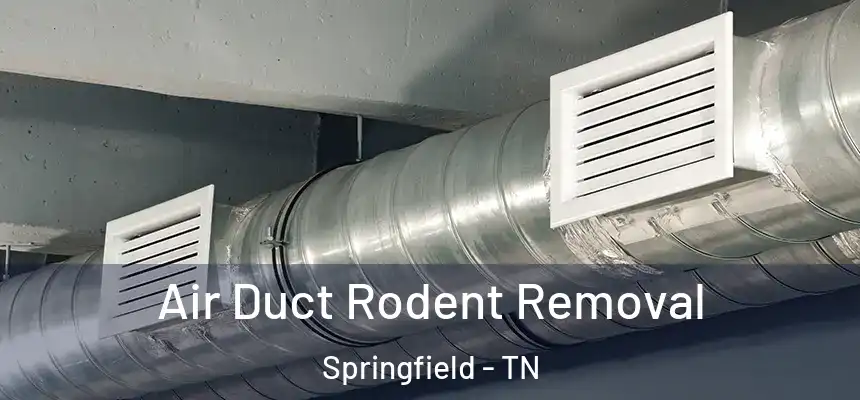  Air Duct Rodent Removal Springfield - TN