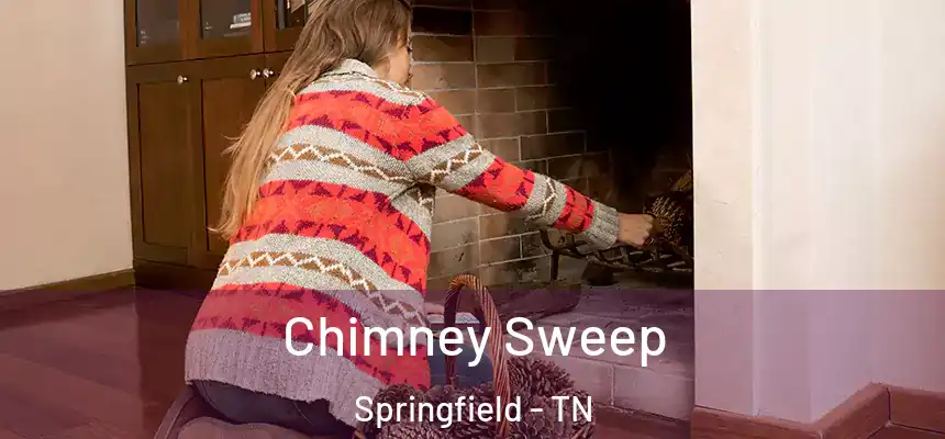  Chimney Sweep Springfield - TN