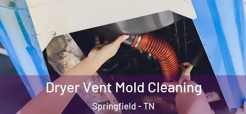  Dryer Vent Mold Cleaning Springfield - TN
