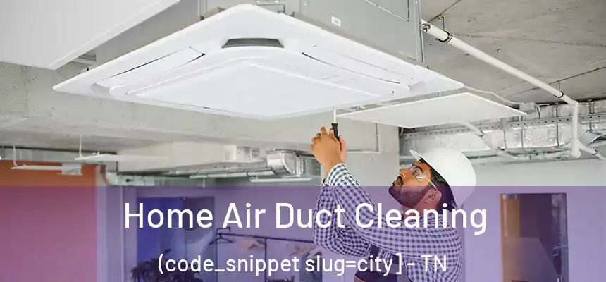  Home Air Duct Cleaning (code_snippet slug=city] - TN