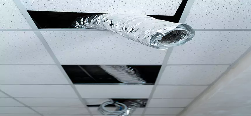 Our Air Duct Pet Hair Removal Services in Springfield, TN