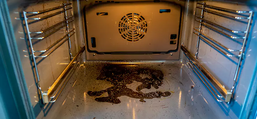 Our Dryer Vent Mold Cleaning Services in Springfield, TN