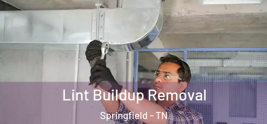  Lint Buildup Removal Springfield - TN