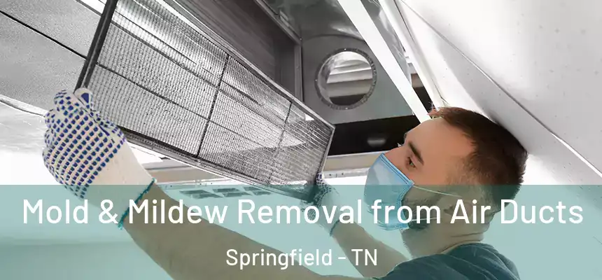  Mold & Mildew Removal from Air Ducts Springfield - TN