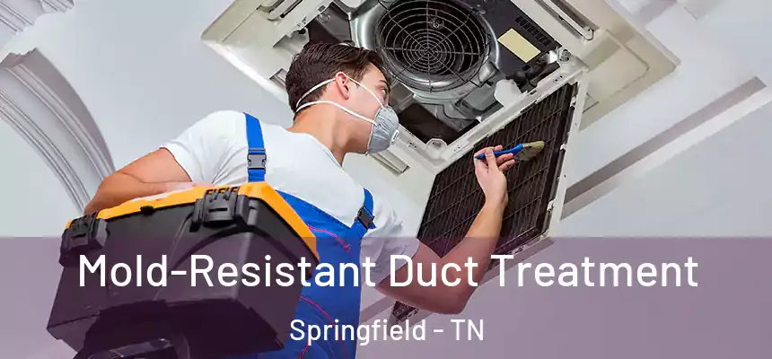  Mold-Resistant Duct Treatment Springfield - TN