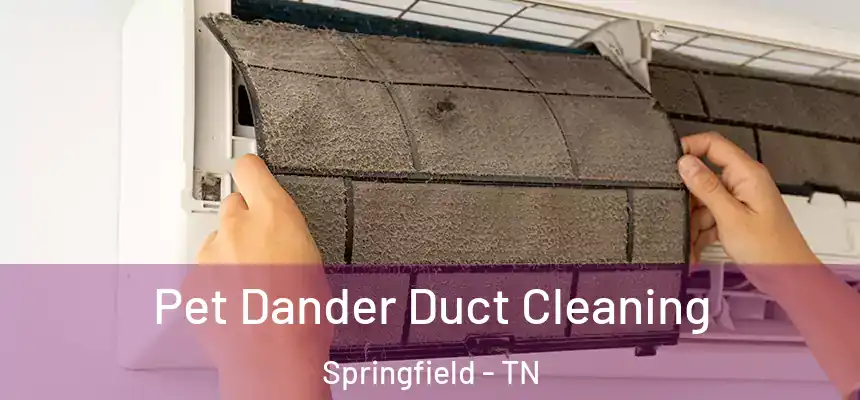  Pet Dander Duct Cleaning Springfield - TN