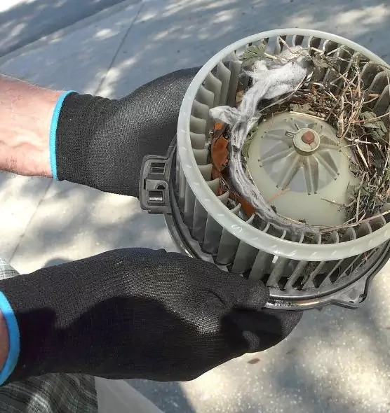 About Air Duct Mice Removal in Springfield, TN