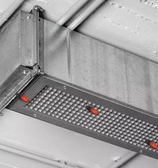 Affordable Insect Removal from Air Ducts in Springfield, TN