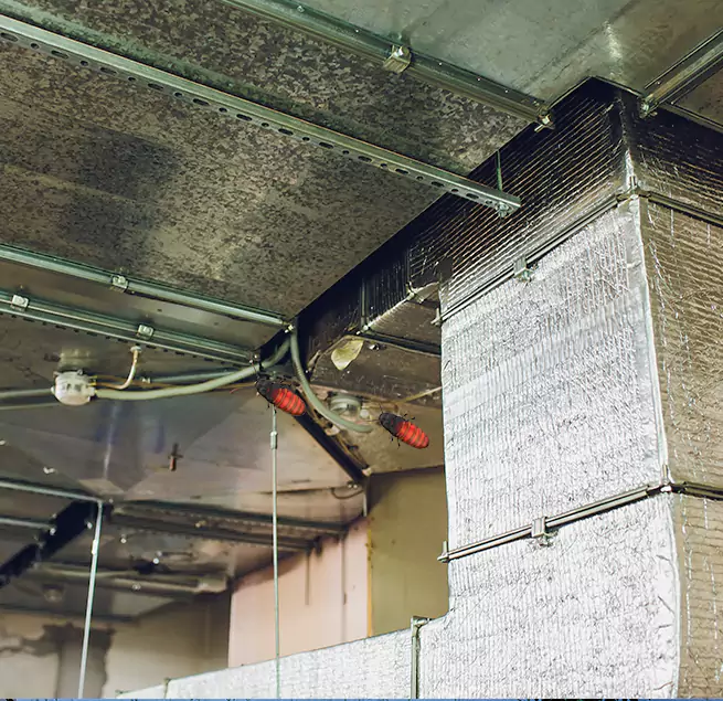 Why Homeowners & Businesses Trust Us in Springfield, TN?