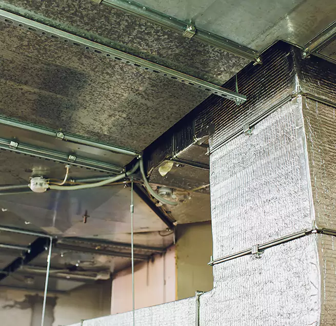 Why Homeowners & Businesses Trust Us in Springfield, TN?